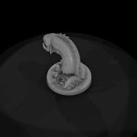 hitem2-p042-hooked-reef-eel — thumbnail 6