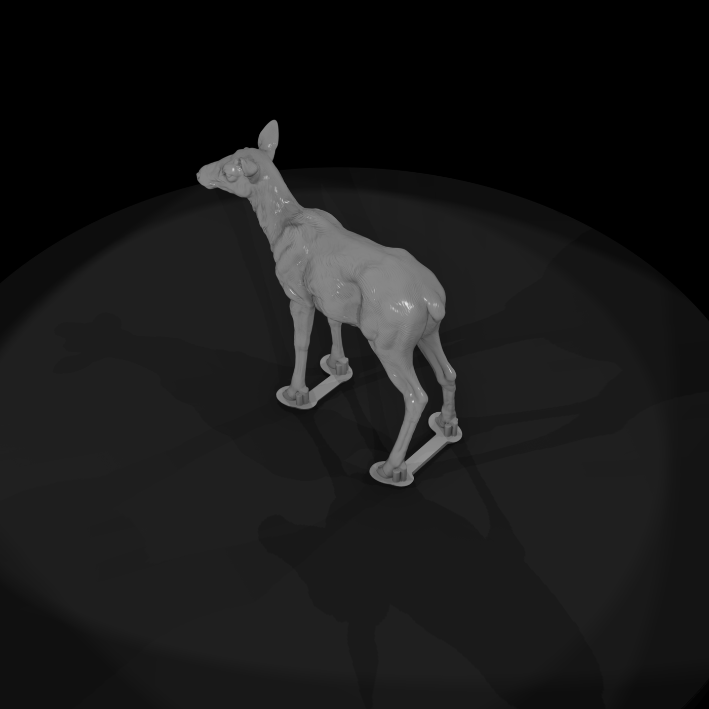 Young Elk Calf Standing