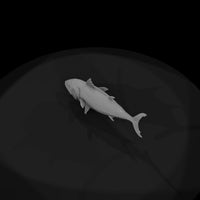 realistic-tuna-fish-miniature-for-dioramas-display-152785 — thumbnail 7