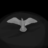 1980s-miami-beach-seagull-in — thumbnail 8