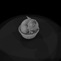 a-collection-of-housecats-sphynx-b06c75ad-meshref — thumbnail 6