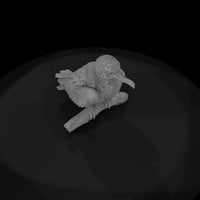 ant-138-frigatebird-adolescent — thumbnail 6