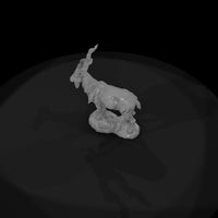 ant-280-markhor-male — thumbnail 6