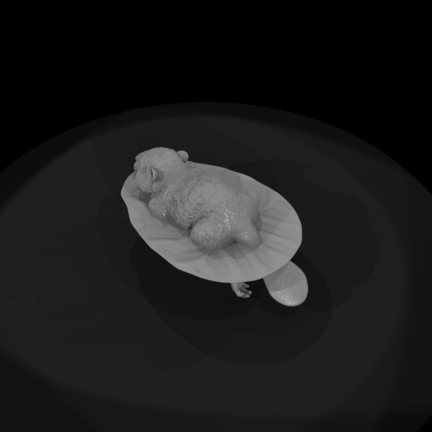 Adolescent Beaver