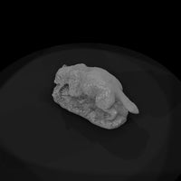 ww-0326-animal-badger — thumbnail 6