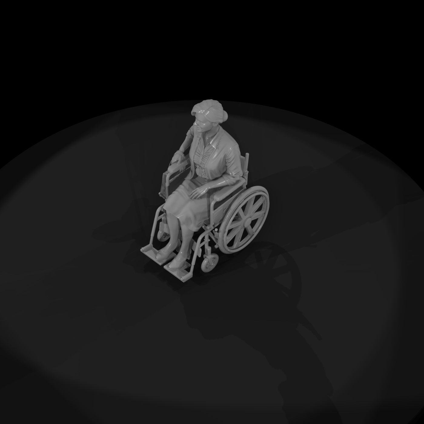 Woman Seated in a Wheelchair
