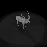 ant-067-greater-kudu-male — thumbnail 6