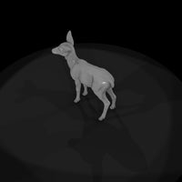 ant-042-red-deer-adolescent — thumbnail 6