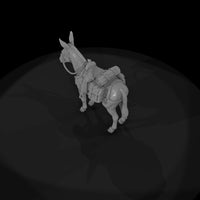 ww-0277-animal-mule — thumbnail 6