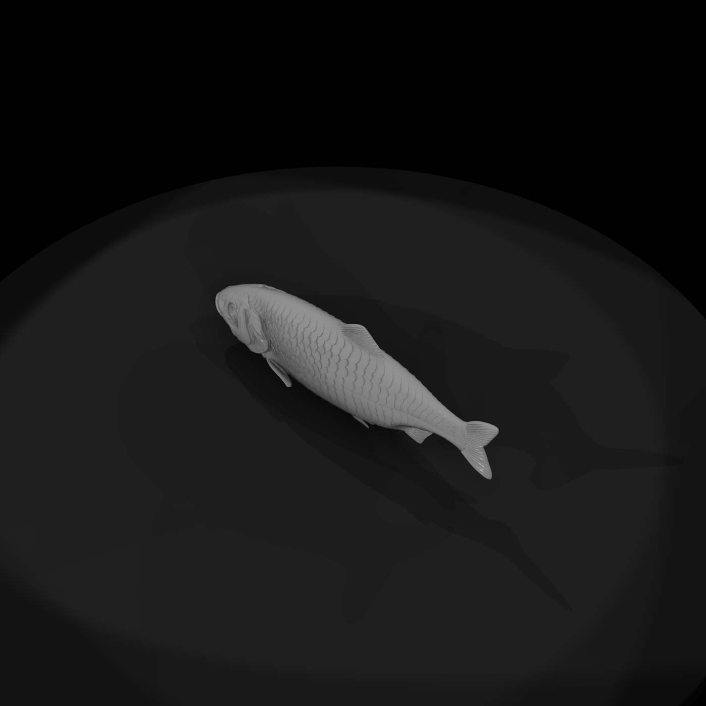 Realistic Herring Fish & Displays