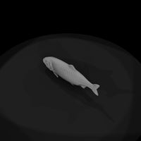 realistic-herring-fish-miniature-for-dioramas-displays-706325 — thumbnail 7