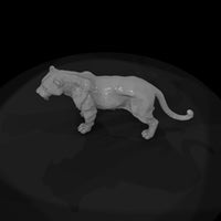 ant-151-jaguar-male — thumbnail 6