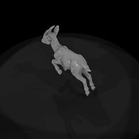 ant-282-markhor-adolescent — thumbnail 6