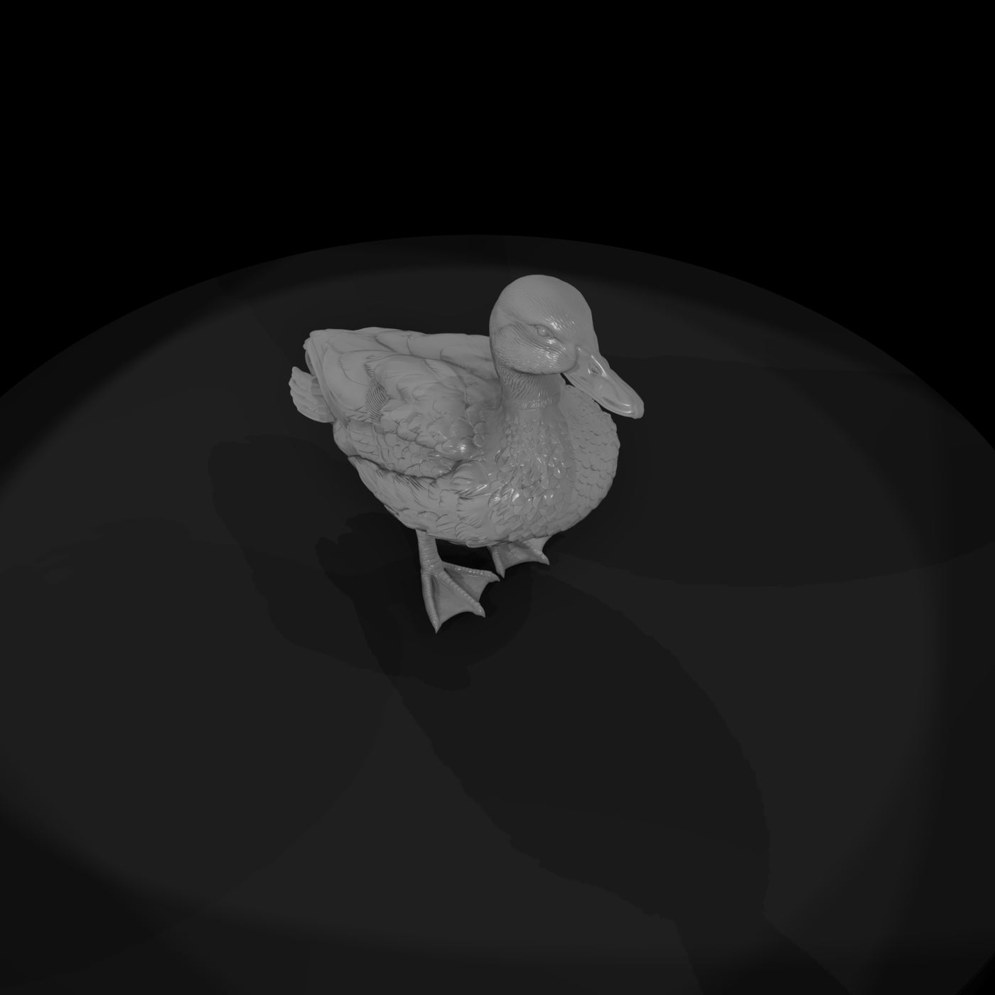 ant-088-mallard-male