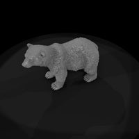 ant-210-polar-bear-adolescent — thumbnail 6
