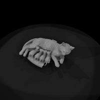 a-collection-of-housecats-mother-a64bb628-meshref — thumbnail 6