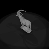 ant-232-sable-antelope-male — thumbnail 6