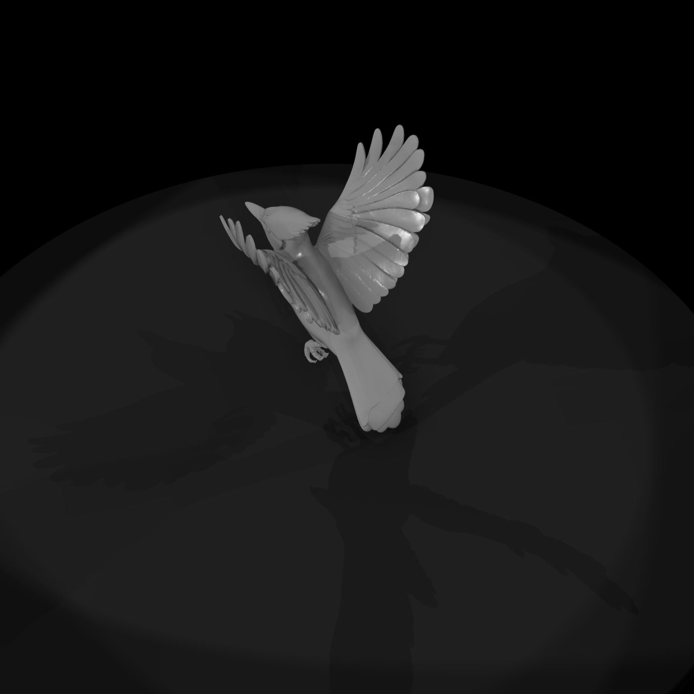 Blue Jay Perched — Bird