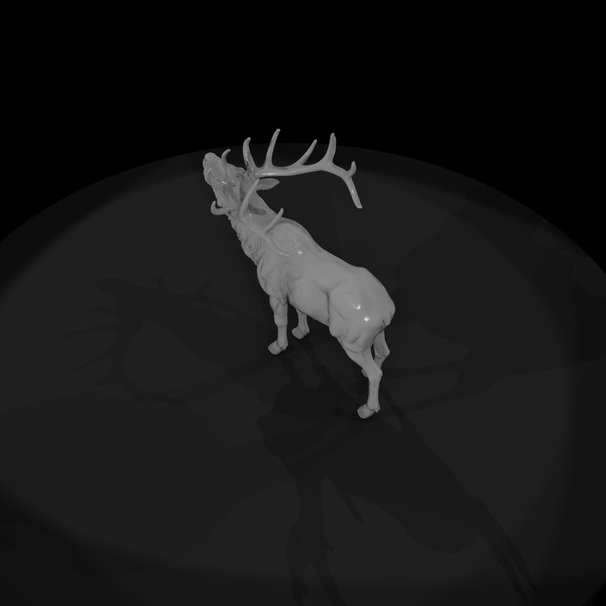 ww-0331-animal-elk