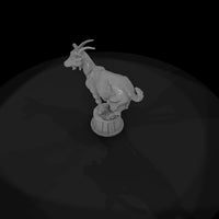 cir-128-animal-trained-goat — thumbnail 6