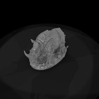 creature-p015-bog-hide-rhino — thumbnail 6