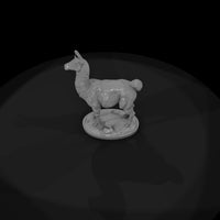 ant-218-llama-female — thumbnail 6
