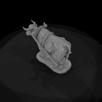 ww-0279-animal-ox — thumbnail 6