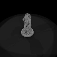 poparc-0102-dust-bowl-wanderer-alternate-pose — thumbnail 6