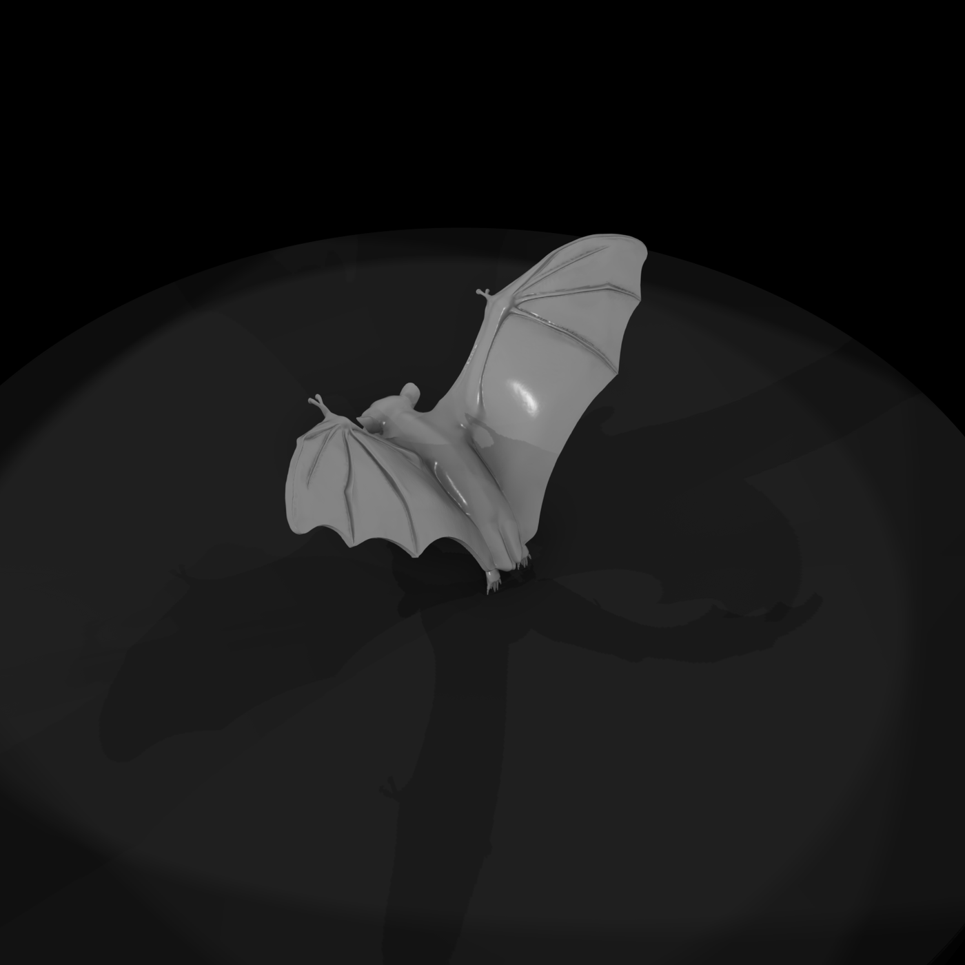 Flying Fox (Fruit Bat) — Realistic
