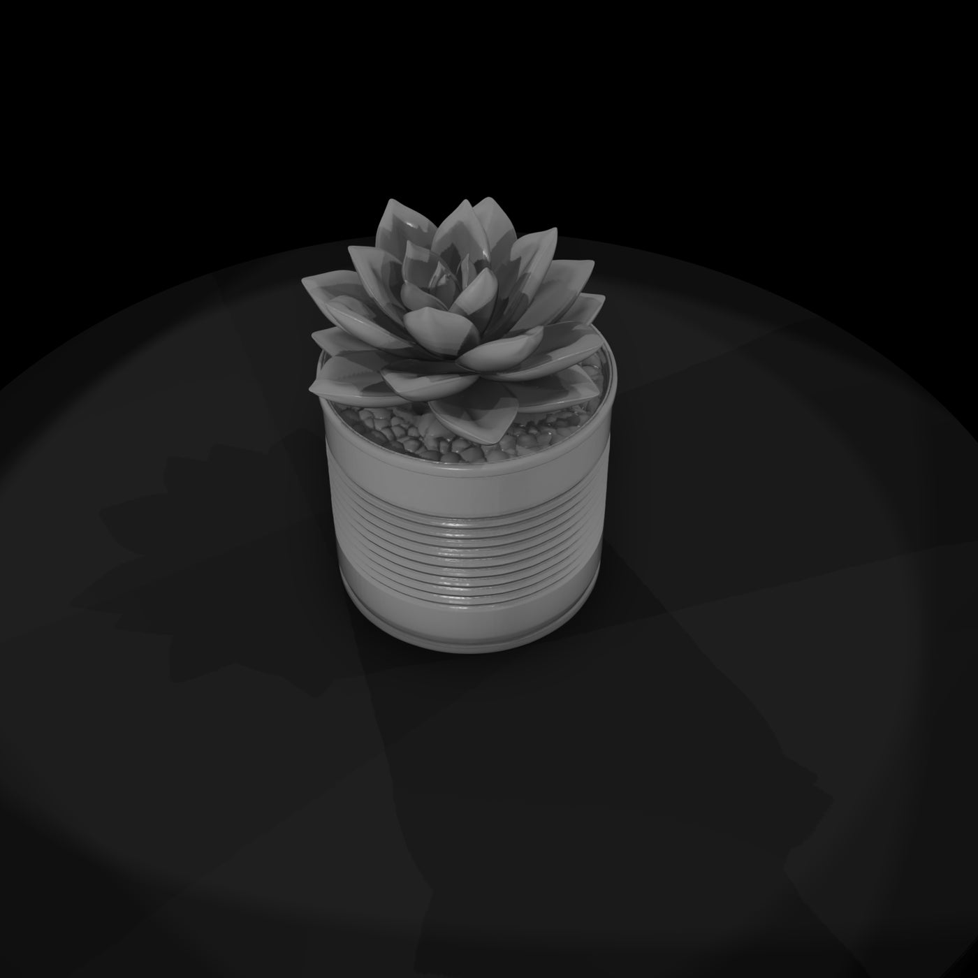stylized-monochrome-succulent-tin-can-planter-3d-m