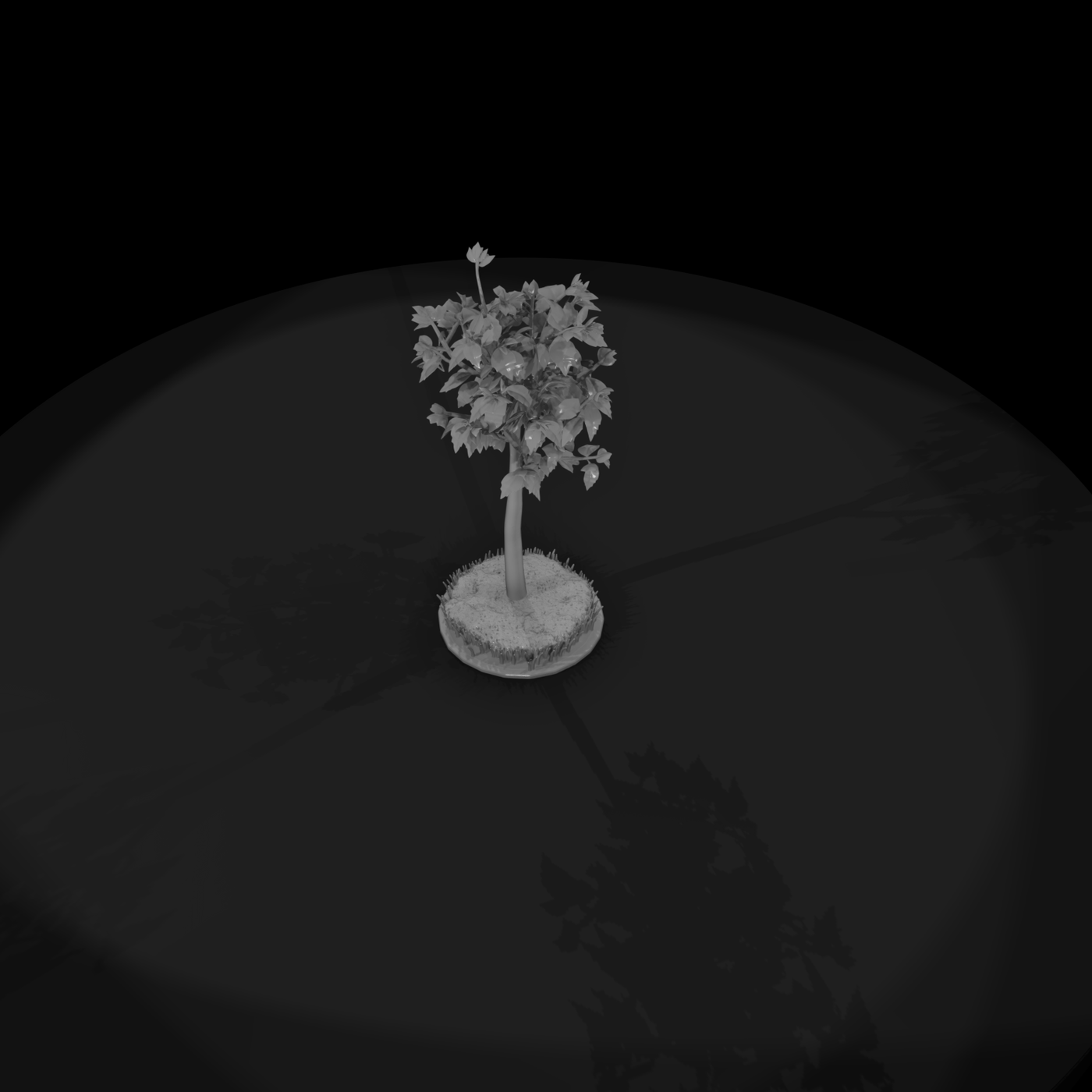 Stylized Birch Tree — Low-Poly Tree