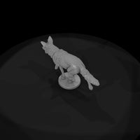 ww-0312-animal-coyote — thumbnail 6
