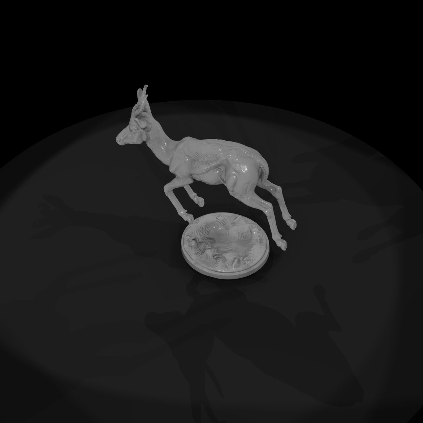 ant-238-springbok-male