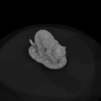 ant-191-meerkat-female — thumbnail 6