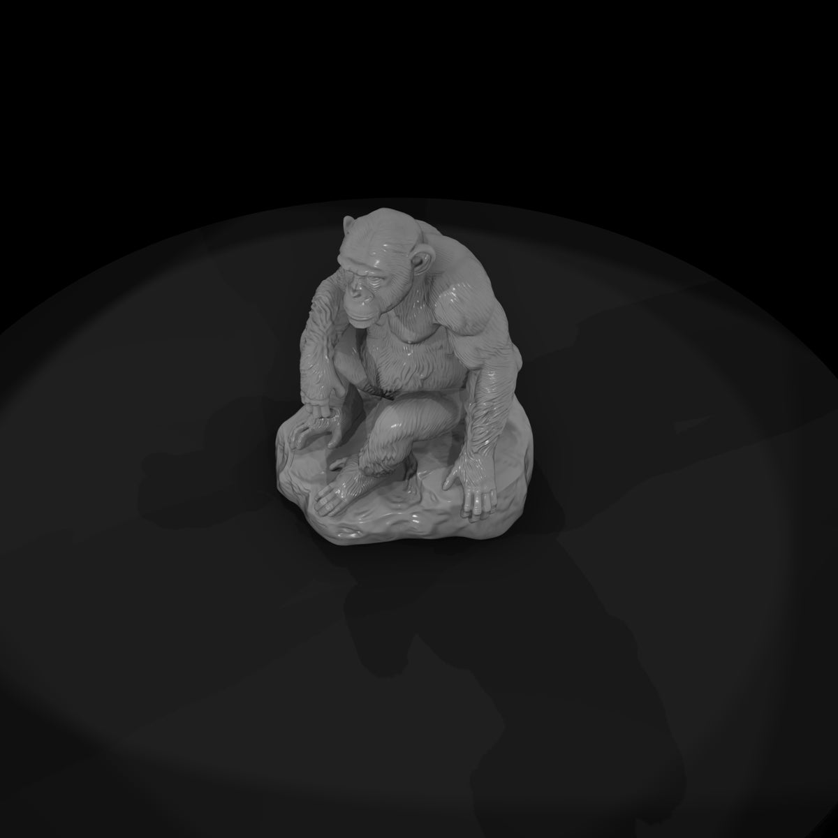 ant-194-chimpanzee-female