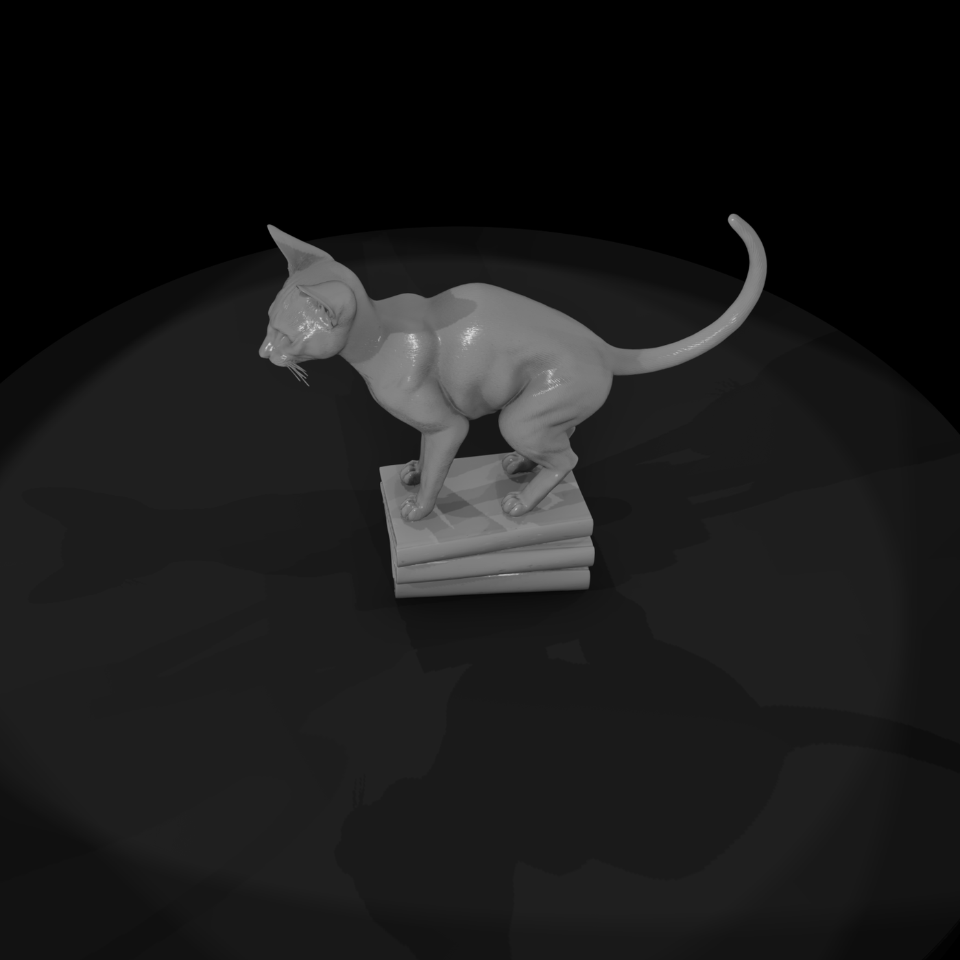 A Collection Of Housecats Abyssinian 77110Fe8 Mesh