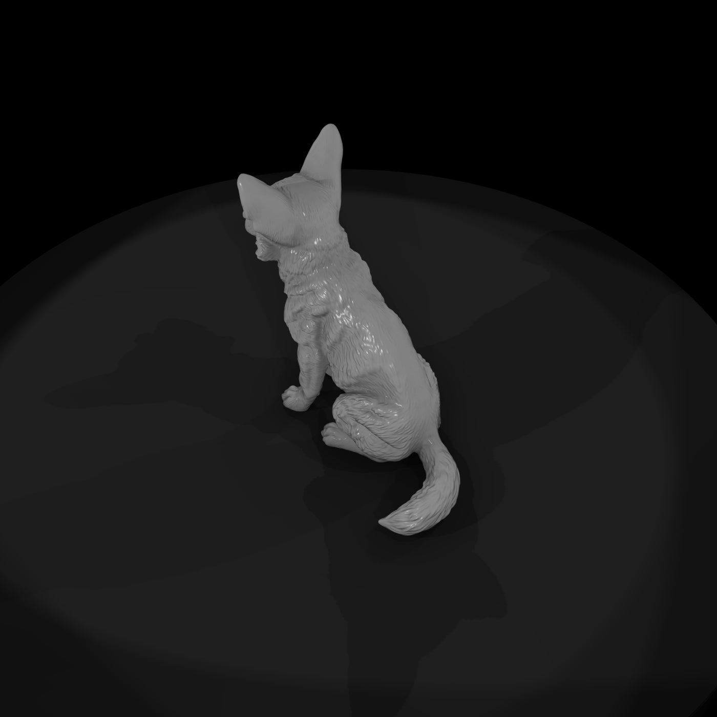 ant-171-coyote-adolescent