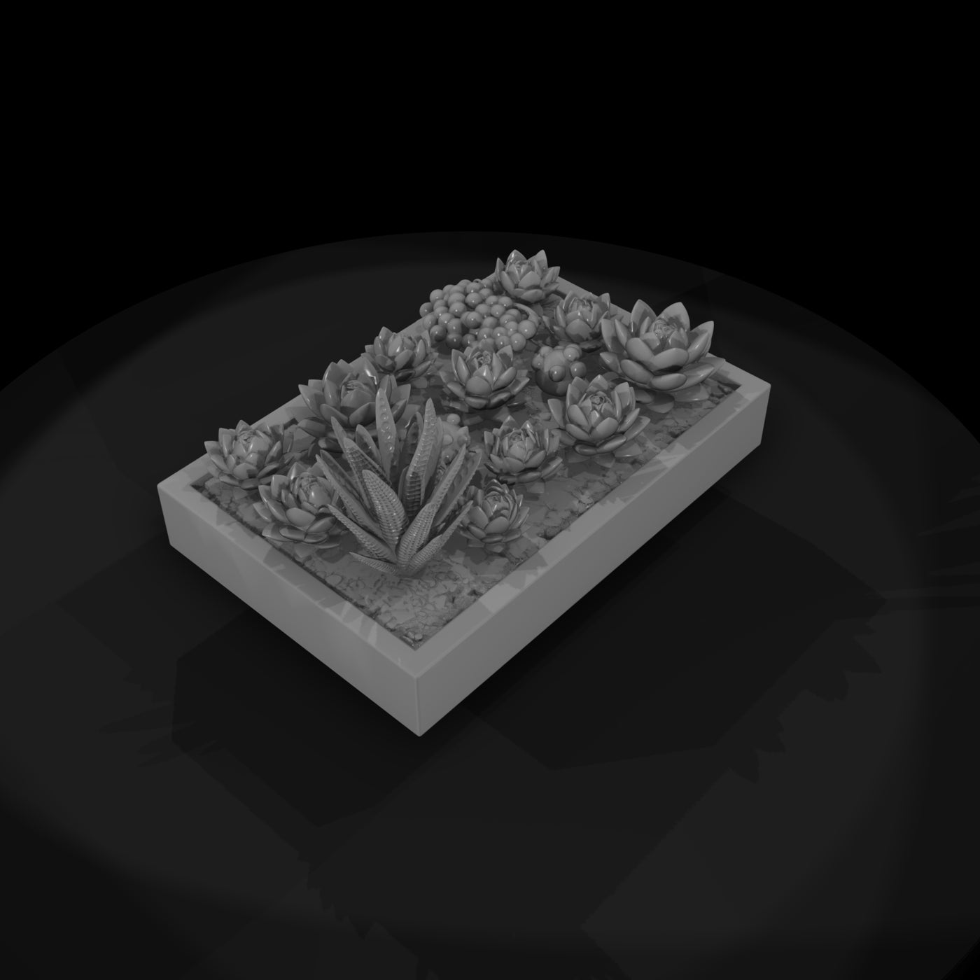 stylized-monochrome-succulent-garden-planter-phnxh