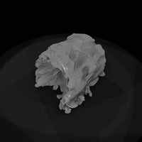 hollow-forest-log-terrain-with-mushrooms-363544 — thumbnail 7