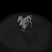 skeletal-horse-miniature-128260 — thumbnail 6