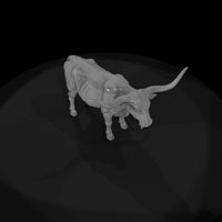 ww-0295-animal-longhorn-cow — thumbnail 6