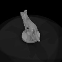 anim-11-border-collie-0762c7 — thumbnail 7