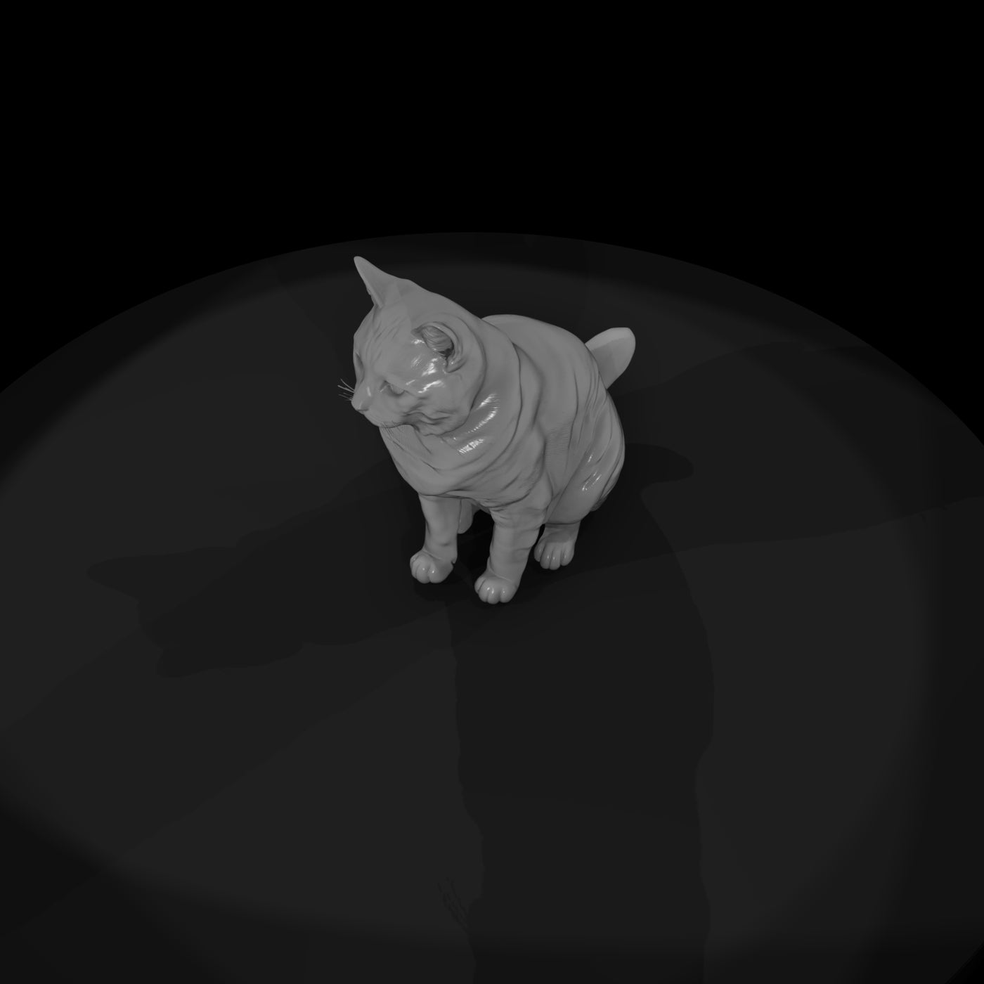 a-collection-of-housecats-manx-ab5ed3df-meshref