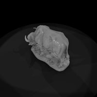 ant-224-cape-buffalo-female — thumbnail 6