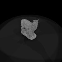 ant-220-alpaca-male — thumbnail 6