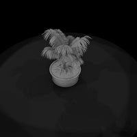 potted-palm-plant-miniature-643506 — thumbnail 7