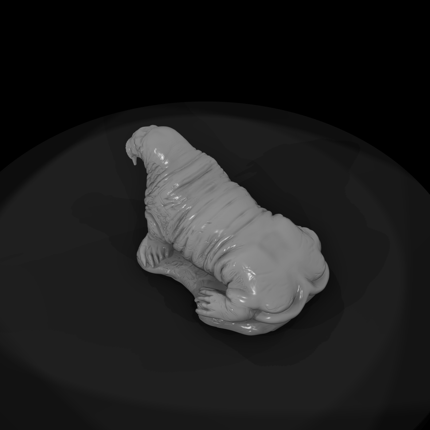 Ant 143 Walrus Female