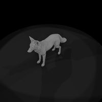 coyote — thumbnail 7