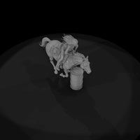 barrel-racer — thumbnail 8