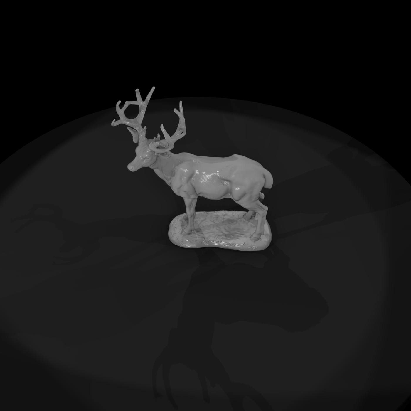 Ww 0316 Animal Mule Deer Buck